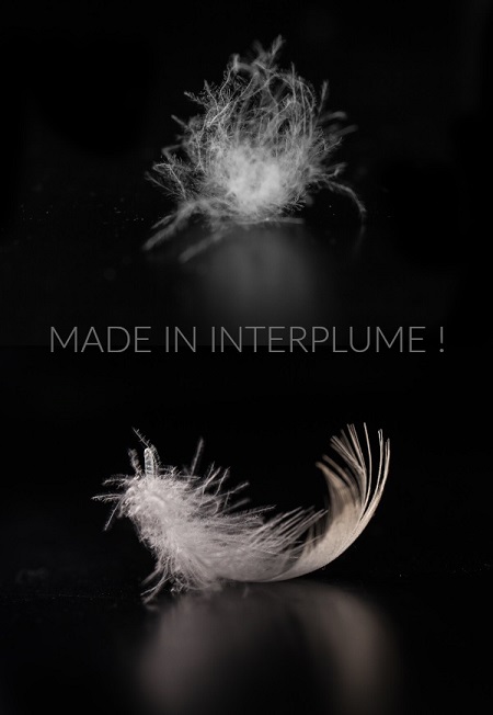 Made in ITP plume et duvet